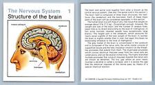 Structure Of Brain #1 Nervous System Home Medical Guide 1975-8 Hamlyn Card picture