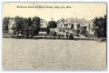 c1910 Katherine Island Rustic Bridge Exterior View Albert Lea Minnesota Postcard picture