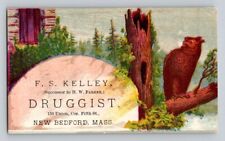 F S Kelley Druggist Owl New Bedford MA P31 picture