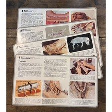 Vintage 1994 Hubbard Scientific Dissectogram Fetal Pig Biology Study Guides Set picture