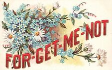 Vintage 1910's For-Get-Me-Not Flower Bouquet Remembrance picture
