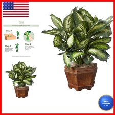 Nearly Natural 22 in Artificial Triple Golden Dieffenbachia with Wood Vase picture