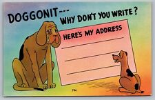 Postcard Doggonit Why Dont You Write Heres My Address Greetings Dog Sad Puppy   picture