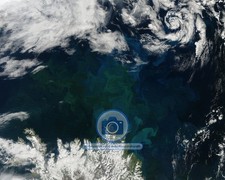 PHYTOPLANKTON BLOOM OFF NORTHEAST ICELAND AUGUST 2014 8X10 PHOTO picture