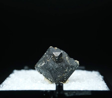 Perovskite on Magnetite / Perovskite Hill, Arkansas / Rare Thumbnail Mineral Cry picture