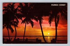 Florida Sunset, Antique, Vintage c1967 Postcard picture