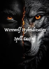 Powerful and Custom Werewolf Hybridization Spell Casting picture