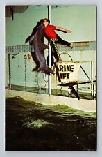 Rapid City SD-South Dakota, Marine Life, Dolphin Jump, Antique Vintage Postcard picture