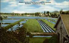 Huntsdale Pennsylvania Fish Hatchery aerial view ~ 1950s-60s vintage postcard picture