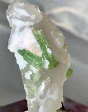 123 carat tourmaline crystal on quartz specimen from Afghanistan picture