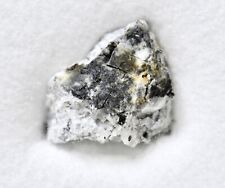 Meteorite RIBBECK - latest meteorite fall - rare Aubrite from Asteroid 2024 BX1 picture
