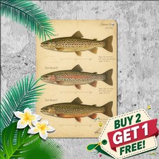 Freshwater Trout Species Chart Plaque Angler Fisherman Metal Tin Sign 8x12 picture
