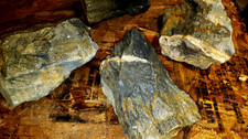 4 PIECE LOT OF PREHISTORIC DINOSAUR FOSSILS UNKNOWN SPECIES FROM COLORADO picture