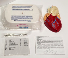 Altace Medical Advertising 3D Human Heart Drug Rep Display picture