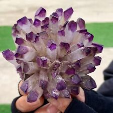 347G New Find  purple PhantomQuartz Crystal Cluster MineralSpecimen picture