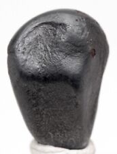 ORIENTED SIKHOTE ALIN Iron Meteorite Specimen FLOWLINES ROLLOVER LIPS RUSSIA picture
