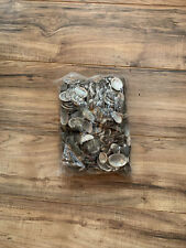 1 Kilogram Abalone Shells 1”-3” Bulk Price 500+ Shells picture