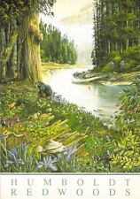 Postcard Humbolt Redwoods State Park by Larry Eifert Painting Vintage Unposted picture