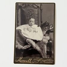 Antique Cabinet Card Photograph Little Girl  Taxidermy Cougar Odd Spokane WA picture