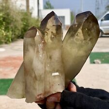 2.36LB Natural Citrine cluster mineral specimen quartz crystal healing picture