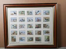 Players Cigarette Cards Game Birds & Wild Fowl 1928, Complete Set 25 Framed picture
