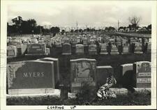 1979 Press Photo Headstones at St. Peter's Cemetery - sia04273 picture