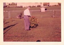 Original Photo 3.5x5 Man Grandpa Cutting Plant Leaves In Front Yard H230 #19 picture
