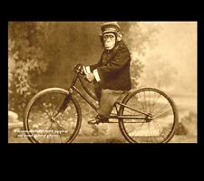Vintage Funny Monkey Riding Bicycle PHOTO Circus Chimpanzee, Freak Strange Bike picture