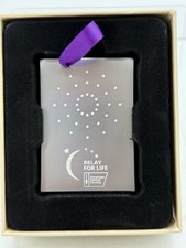 Luminaria Replica American Cancer Society Relay for Life Fundraser-Silver/Purple picture