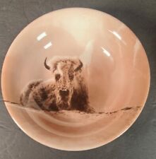 Yellowstone Park Foundation Photography By Tom Murphy 2003 Bison bowl Vintage picture