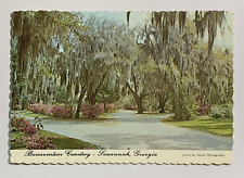 Savannah, GA Georgia, Bonaventure Cemetery, Postcard picture