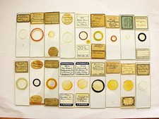 Boxed Set of  18  Antique/ Vintage Diatom Slides. Individual species and Strews. picture
