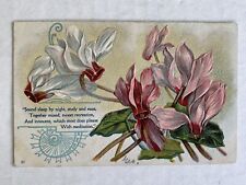 Sound sleep by night~pink & white cyclamen~golden ratio~Ode on solitude~embossed picture