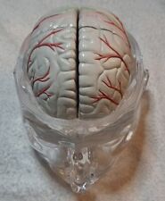 Seroquel Medical Pharmaceutical Pharma Design Brain Head Display Schizophrenia picture