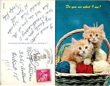 Vintage Postcard - Do you see what I see? - Kittens picture