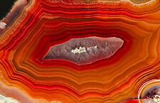 AMAZING Polished Laguna Agate Collector Specimen, Chihuahua, Mexico picture