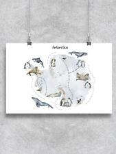 Antarctica Map With Animals Poster - Image by Shutterstock picture