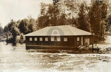 Mercer WI Wisconsin Fish Hatchery RPPC Photo Postcard COPY picture