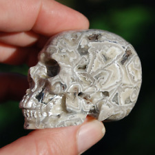 2in Laguna Crazy Lace Agate Carved Crystal Skull, Realistic Gemstone Carving picture
