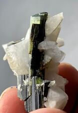 64 Cts blue Cap Tourmaline Crystal specimen from Skardu Pakistan picture