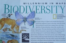 National Geographic Magazine Feb 1999 Map Millennium in Maps - Biodiversity; FS picture