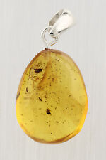 BEETLE MIDGE PARASITIC WASP Inclusions BALTIC AMBER SIVER Pendant 2.2g p51013-19 picture