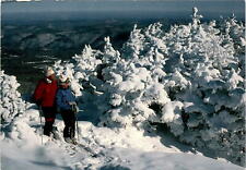 Killington, Vermont, six mountain complex, skiing, peak, 4241 feet, Postcard picture