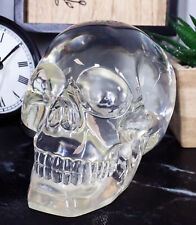 Ebros Clear Translucent Witching Hour Gazing Skull Statue 5.5