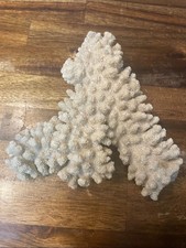 NATURAL REAL WHITE CORAL REEF FOR AQUARIUM & HOME DECORATION picture