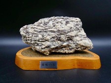 Rare Antarctica Natural Stone Specimen with Display Base – Museum Quality – 2.2k picture