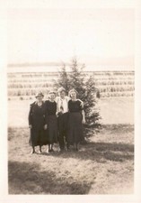 ANTIQUE PHOTO 1930 B & W 2 3/4" x 2 1/2" MOTHER, DAUGHTERS SON BY LEVEE WAERFALL picture