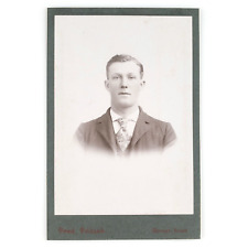 Garner Iowa Man Cabinet Card c1890 Suit Coat Necktie Fred Fritsch Photo B3229 picture