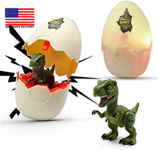 Hatching Eggs Dinosaur Toys,Dinosaur Eggs,Led Light and Sound,Creative Education picture