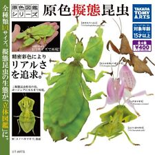 Takara Tomy Primary color mimicry insects Mantis Real Mini Figure 4 types Set picture